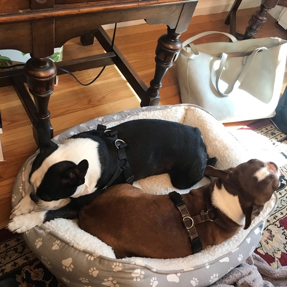 Meet your Posher, Lori - Picture 15 of 16